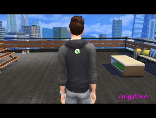 Optic Gaming Hoodie (male)