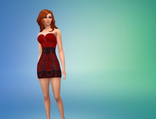 Gorgeous Lace Dress