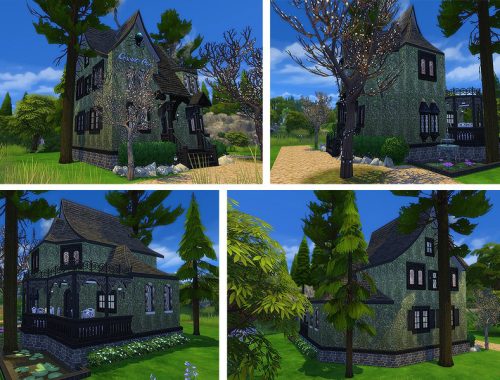 The Spider Tavern