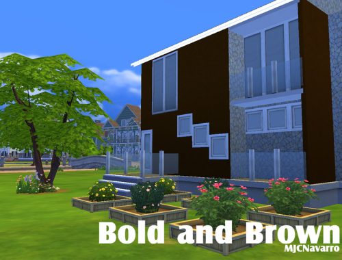 Bold and Brown (No CC)