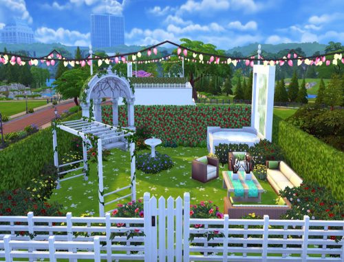 Rooftop Garden