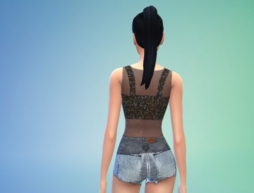 Sequin Top with black Sheer Top