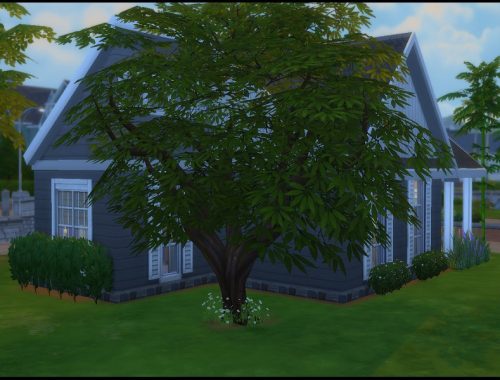 Wooden Bungalow