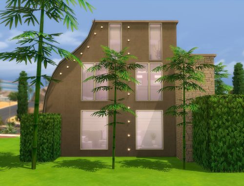 North Coast House