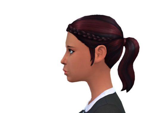 Ponytail With Braid Recolor