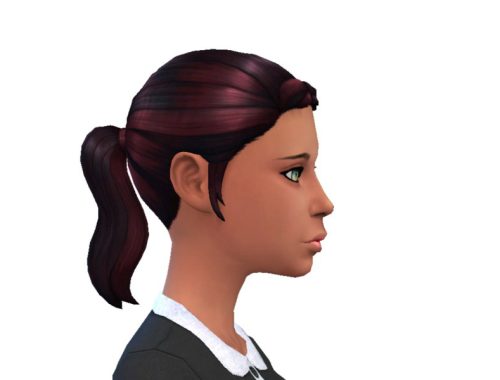 Ponytail With Braid Recolor