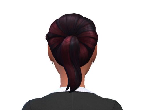 Ponytail With Braid Recolor