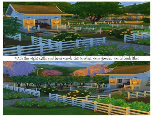 Winchester Farm
