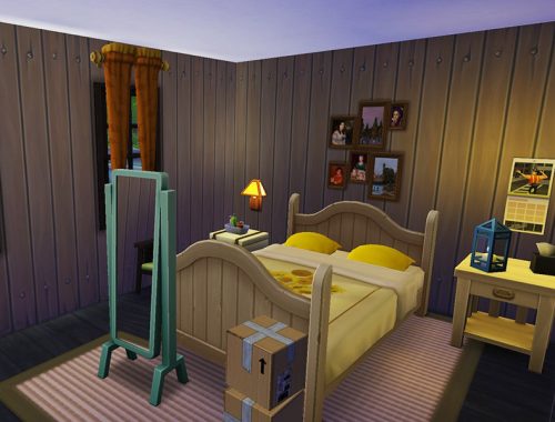 Eclectic's Dream