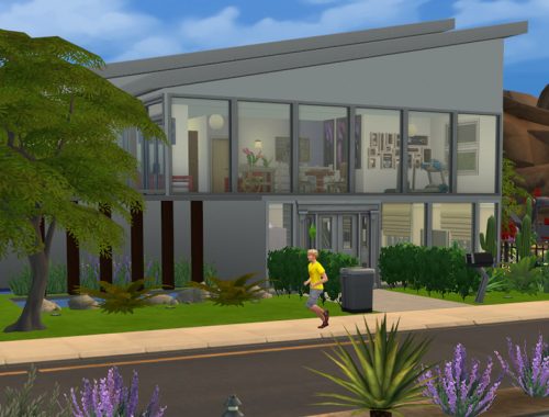 Modern Fountain & Garden House