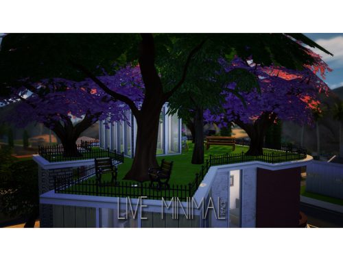 Live Minimal