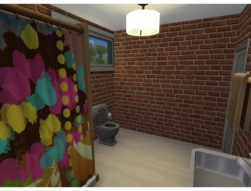 Shiny Day House