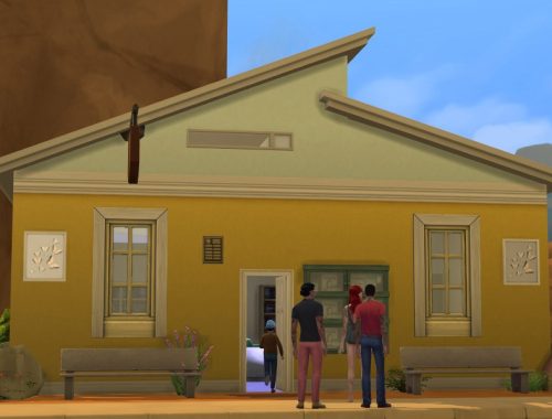 The Little Public Library