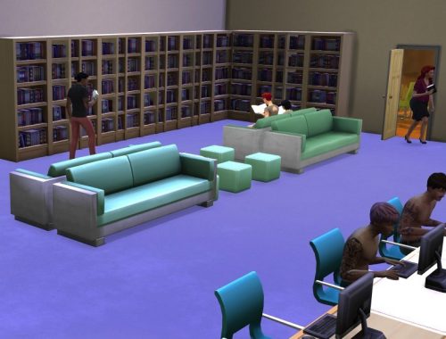 The Little Public Library
