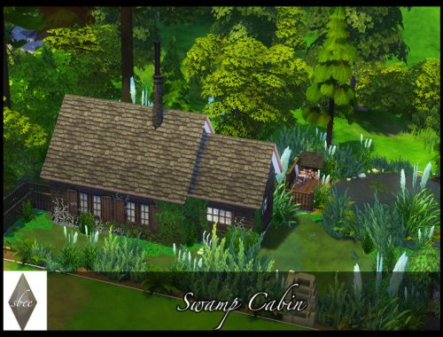 Swamp Cabin