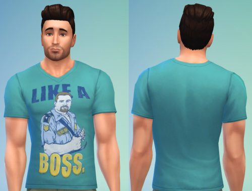WWE Shirt Set 5