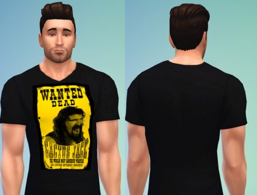 WWE Shirt Set 5