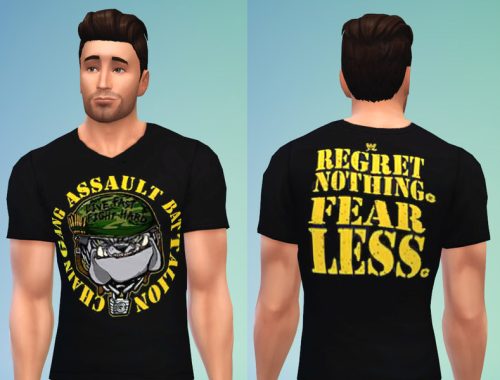 WWE Shirt Set 5
