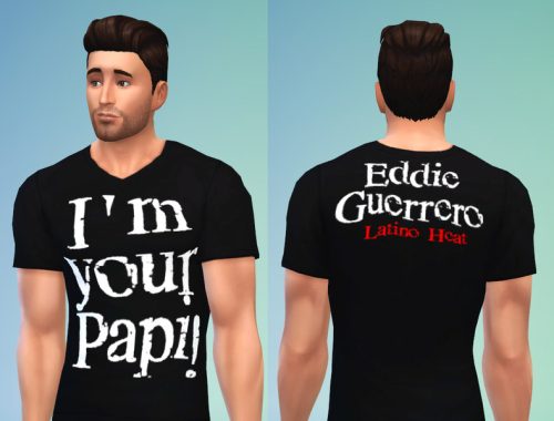 WWE Shirt Set 5