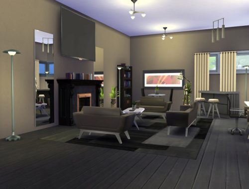 Modern Tetrica House