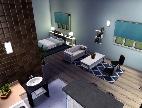 Palm Studio