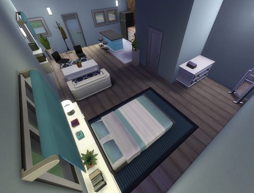 Palm Studio