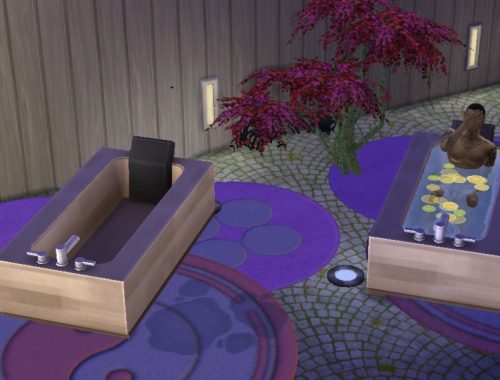 Secret Happy- Day Spa 2 .0 on 40 x 30 for Oasis Springs !