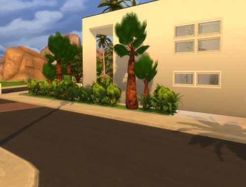 Modern Paradise