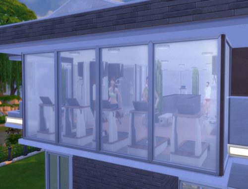 The Sims 4 Modern Fitness Gym