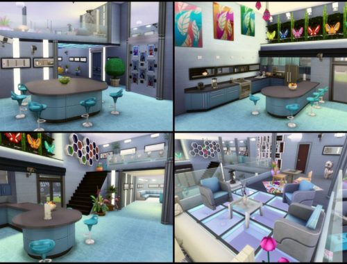 Big Brother US House