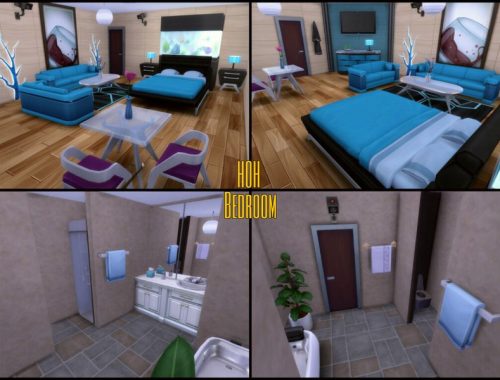 Big Brother US House