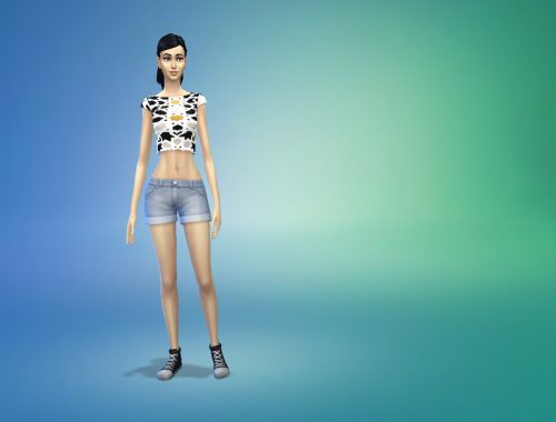 Cutie Pie Crop Top