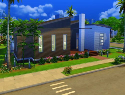 Modern Splinter House