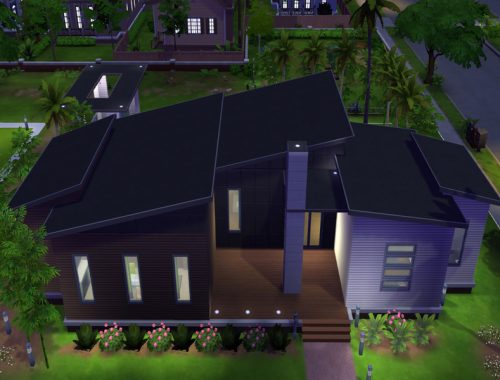 Modern Splinter House