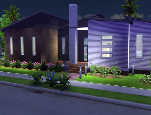Modern Splinter House