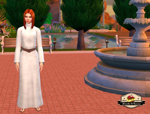 SET for scientist nun for Saint Einstein Monastery
