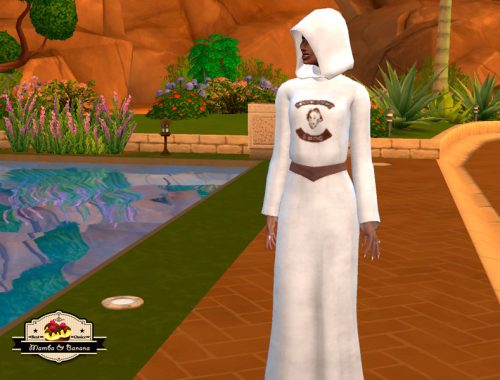 SET for scientist nun for Saint Einstein Monastery