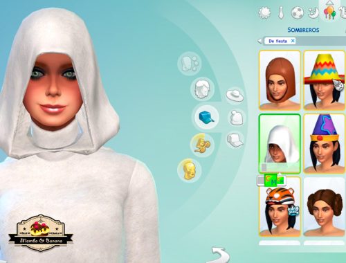 SET for scientist nun for Saint Einstein Monastery