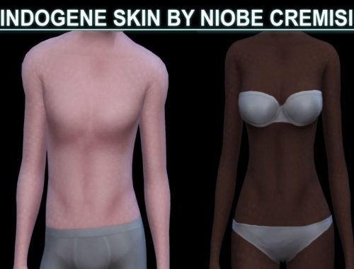 indogene skin detail by niobe cremisi