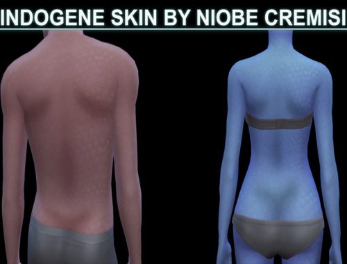 indogene skin detail by niobe cremisi