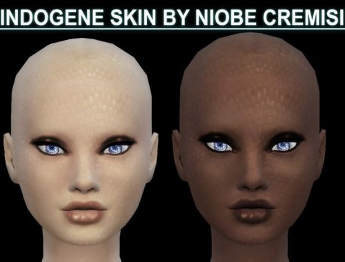 indogene skin detail by niobe cremisi