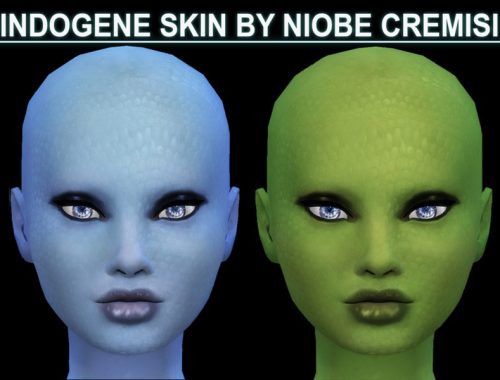 indogene skin detail by niobe cremisi