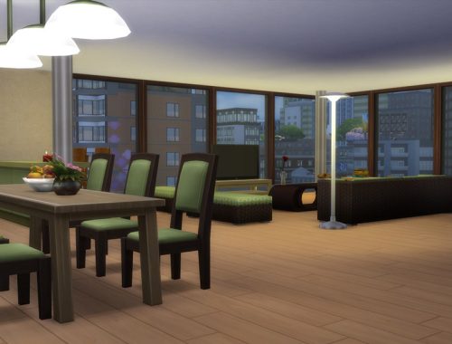 Fontanelles penthouse NO CC