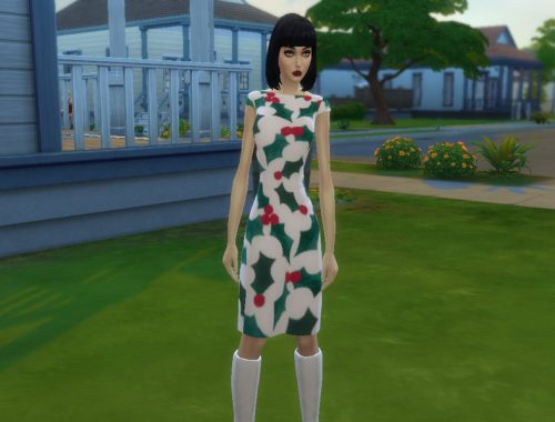 Holiday Dress