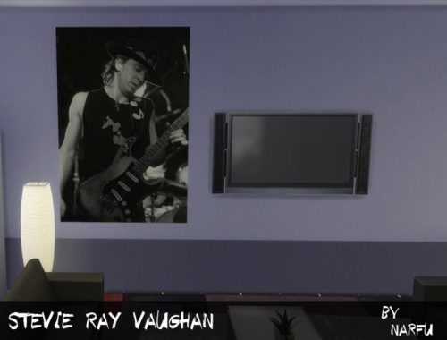 Stevie Ray Vaughan poster