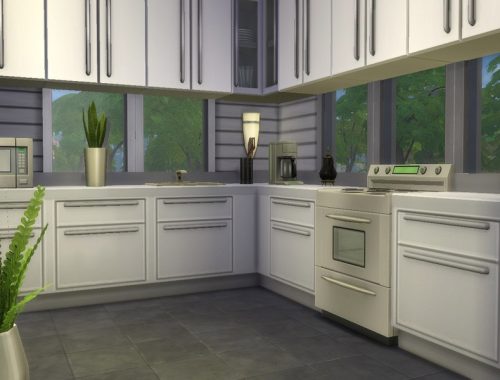whitevillav2