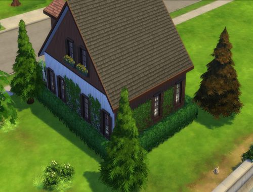 Single Wood Home