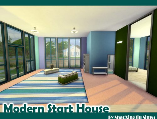 Modern Start House