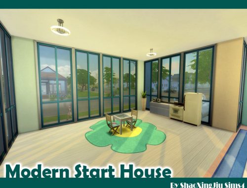 Modern Start House