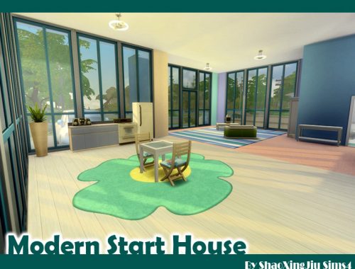 Modern Start House